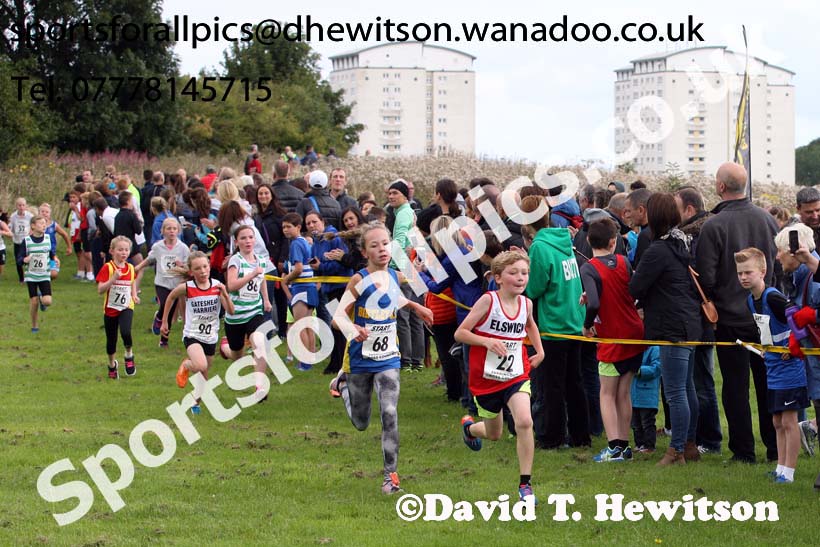 Under-11s Sunderland Harriers Open Cross Country. Photo: David T. Hewitson/Sports for All Pics